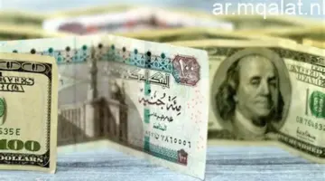 سعر الدولار الأمريكي مقابل الجنيه المصري خلال التعاملات المسائية – مقالات نيوز